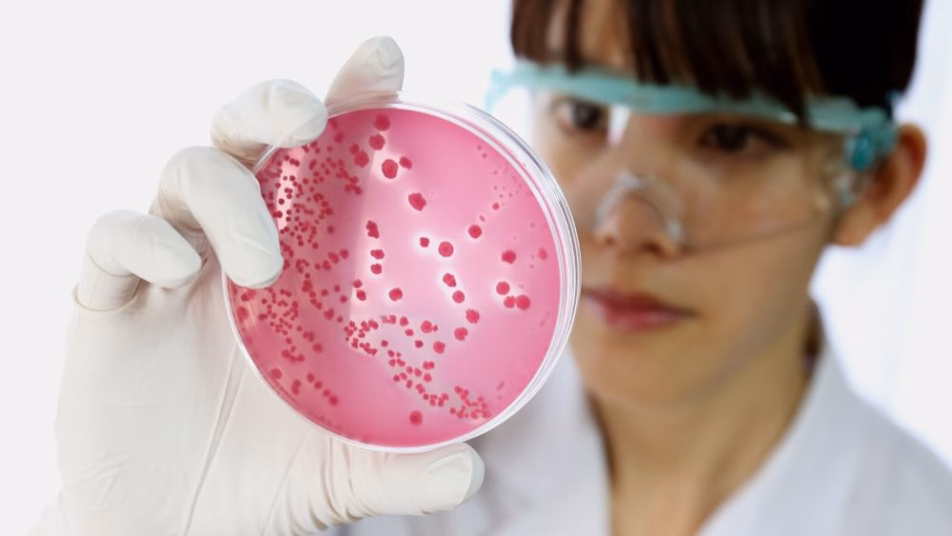pracownica laboratorium z różowym preparatem
