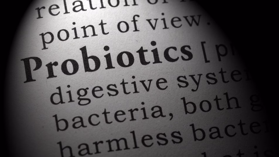 wytłuszczony napis Probiotics