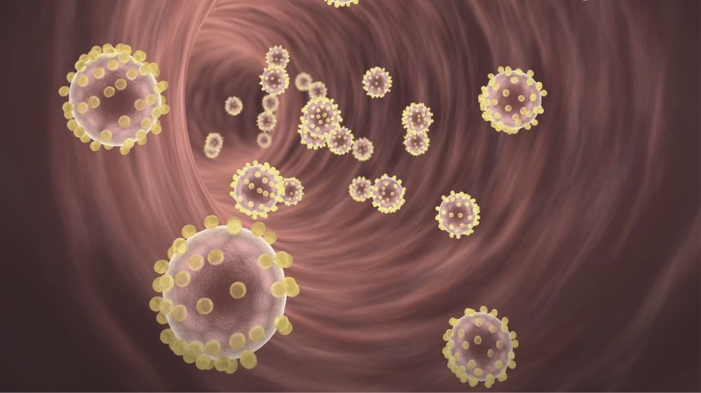 poziom cholesterolu we krwi