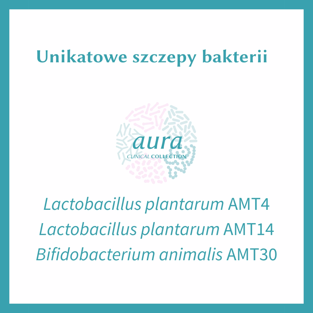 Grafika prezentująca składniki suplementu Aura Clinical Collection. W górnej części tekst "Unikatowe szczepy bakterii", poniżej logo Aura Clinical Collection. Na dole wymienione są szczepy bakterii: Lactobacillus plantarum AMT4, Lactobacillus plantarum AMT14, Bifidobacterium animalis AMT30.