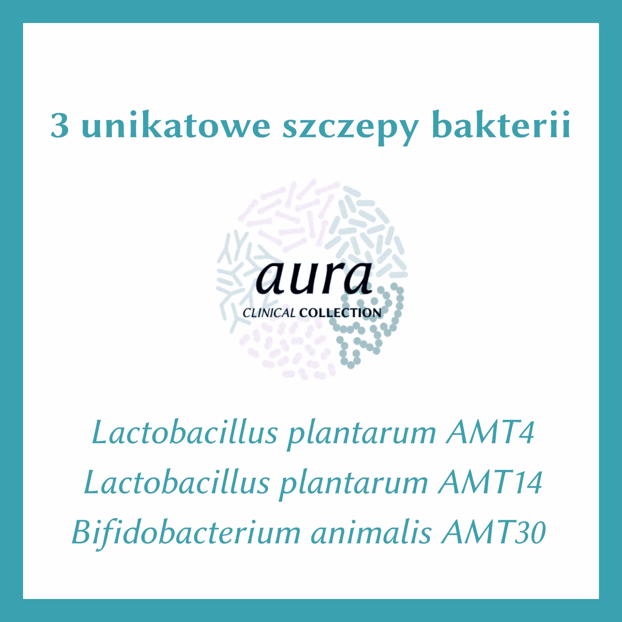 Pakiet aktywna kobieta - obrazek 2