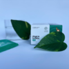 Mycobiotic NS - w tle szklanka wody i liście