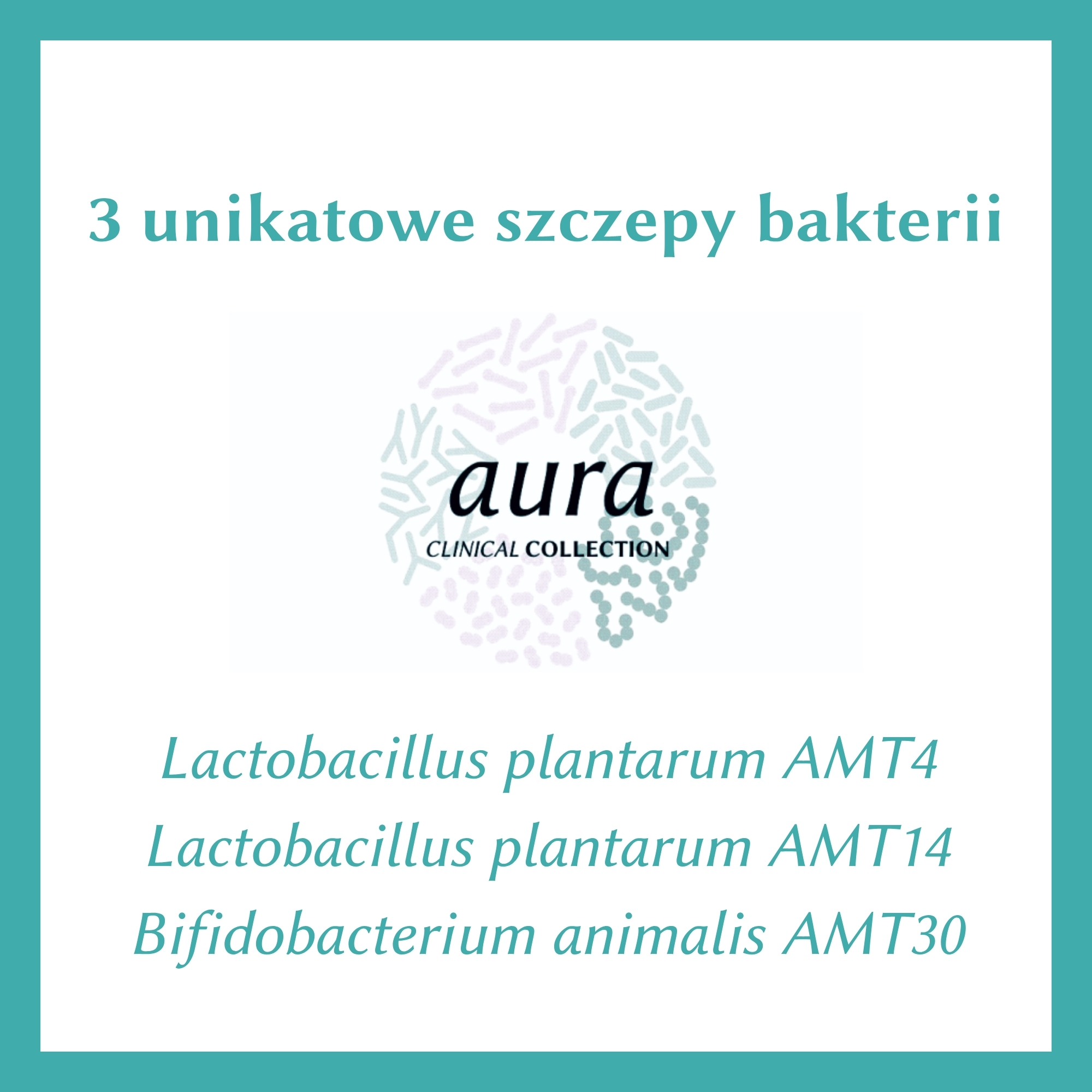 Pakiet - 3x Mycobiotic NS - Wsparcie probiotyczne na dłużej - obrazek 3