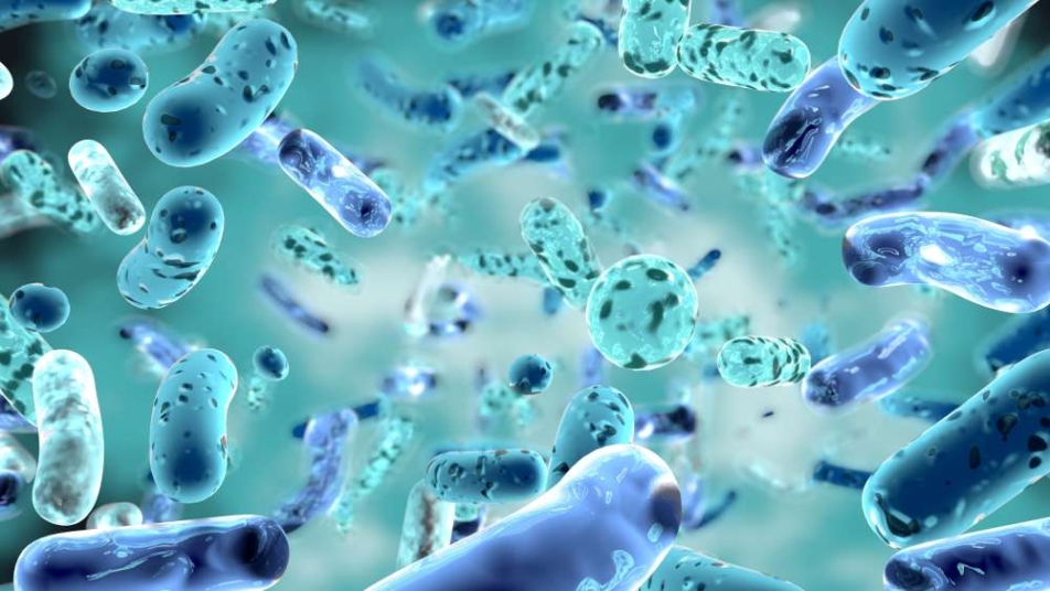 geozgodność szczepów