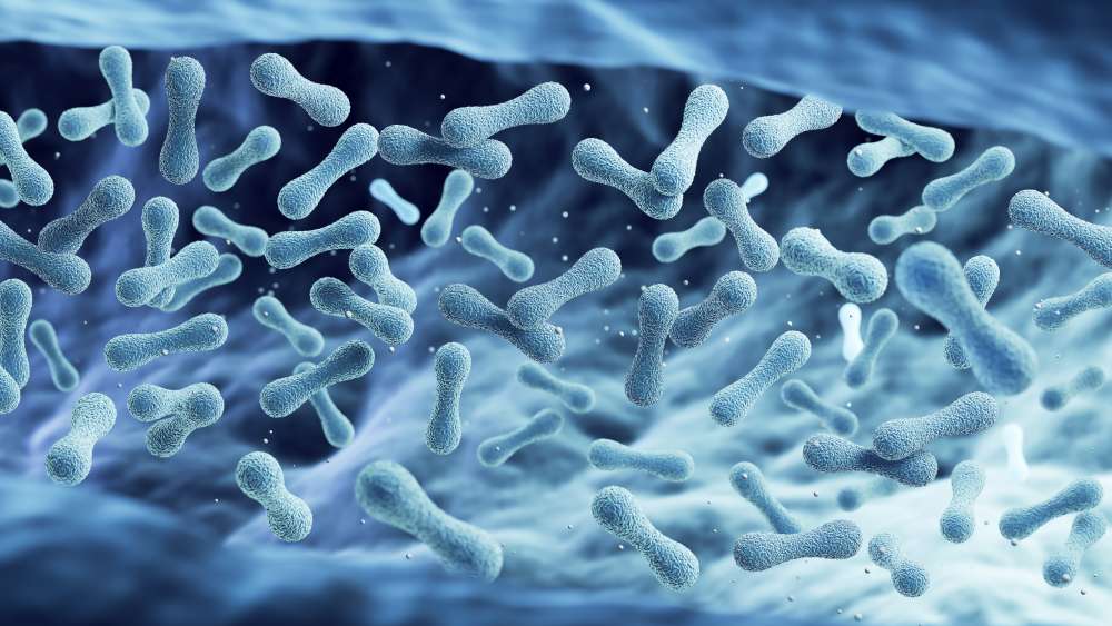 geozgodność szczepów